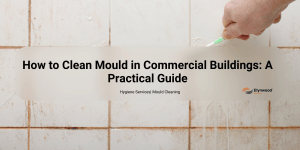 commercial cleaning