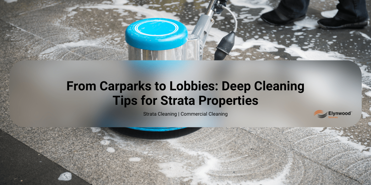 From Carparks to Lobbies_ Deep Cleaning Tips for Strata Properties Elynwood