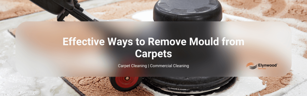 Effective Ways to Remove Mould from Carpets