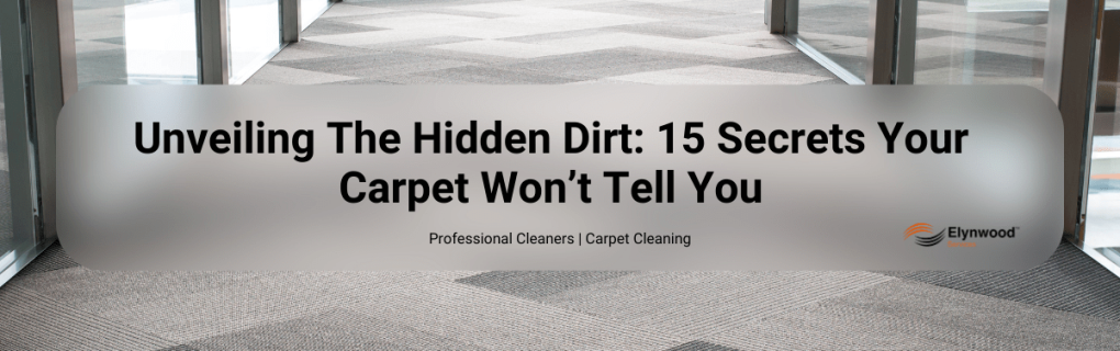 Unveiling The Hidden Dirt_ 15 Secrets Your Carpet Won’t Tell You